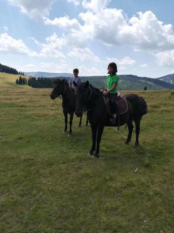 Pensiunea Catalina Moldova Sulita المظهر الخارجي الصورة