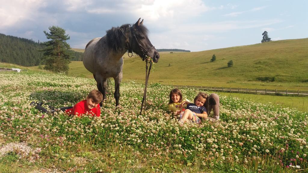 Pensiunea Catalina Moldova Sulita المظهر الخارجي الصورة