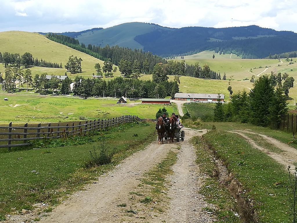 Pensiunea Catalina Moldova Sulita المظهر الخارجي الصورة