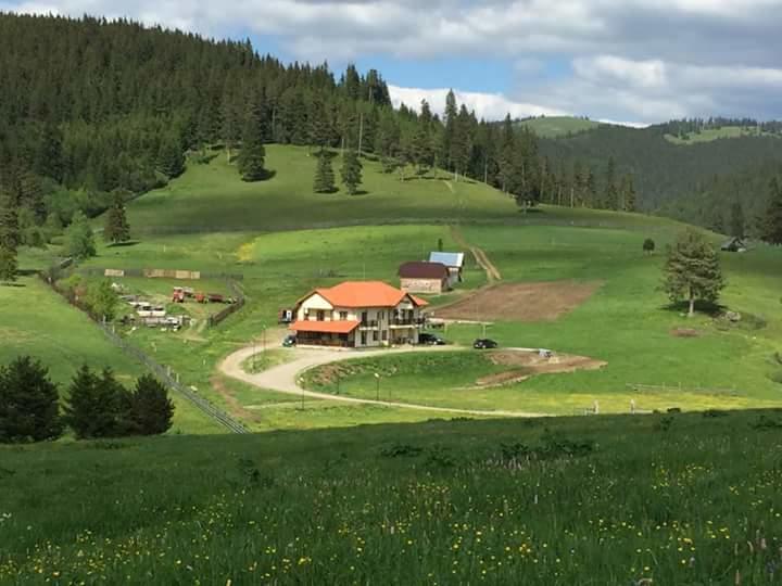 Pensiunea Catalina Moldova Sulita المظهر الخارجي الصورة