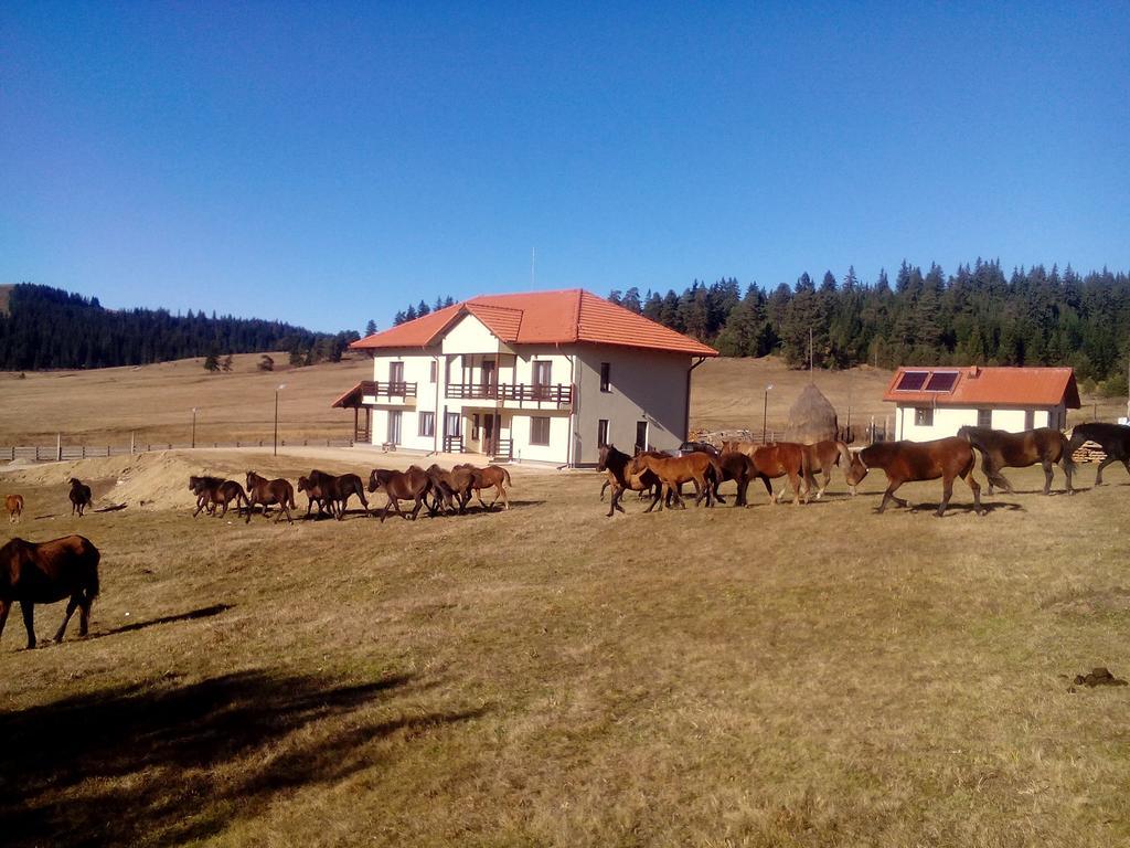 Pensiunea Catalina Moldova Sulita المظهر الخارجي الصورة