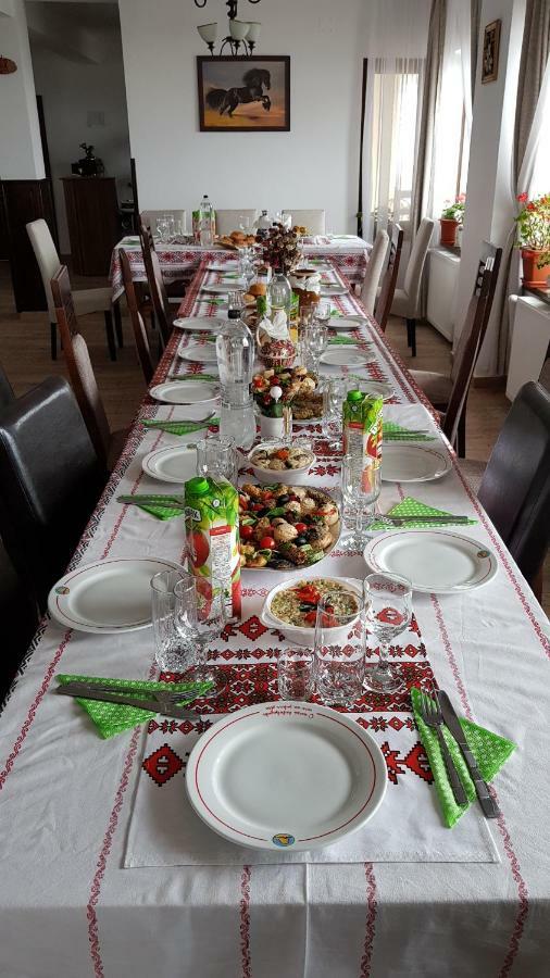 Pensiunea Catalina Moldova Sulita المظهر الخارجي الصورة